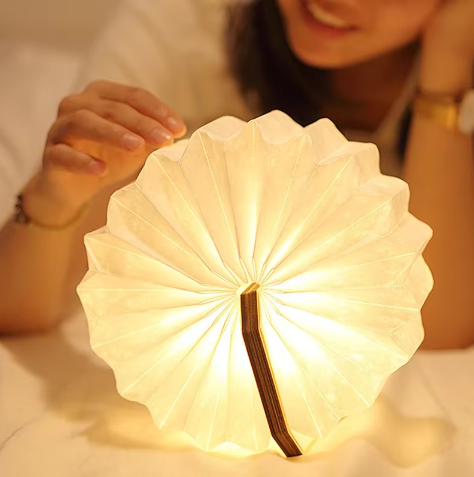 Light for the Soul and the Planet: Eco-friendly Night Lights